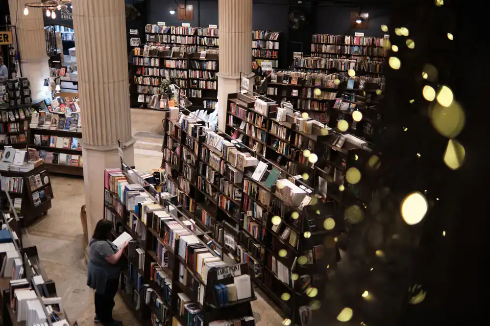 Warm and inviting interior of The Story Tree bookshop